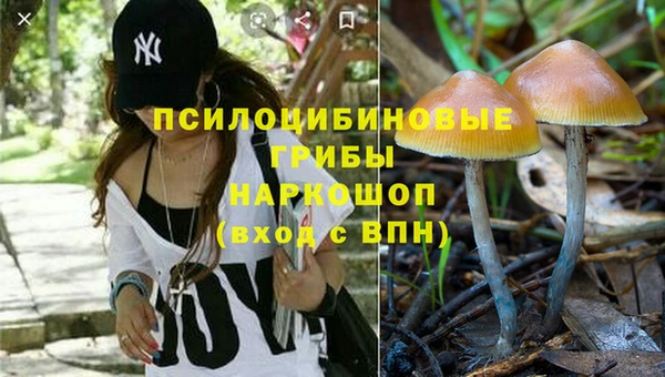 ECSTASY Зерноград