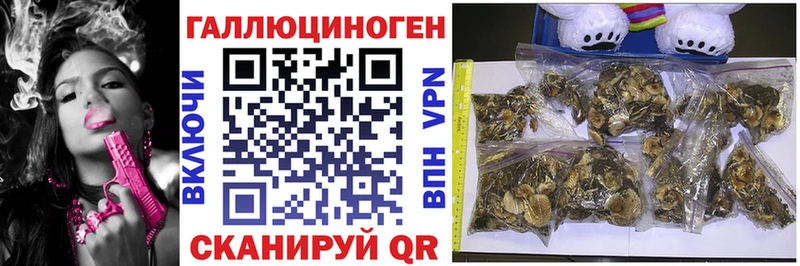 хочу   Славянск-на-Кубани  Псилоцибиновые грибы Magic Shrooms 