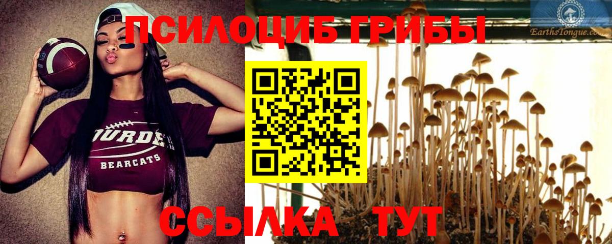 Галлюциногенные грибы ЛСД  Галлюциногенные грибы мицелий  Славянск-на-Кубани 